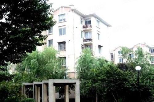 安居古浪新苑东区综合评析 优势、不足及周边服务